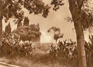 CONSTANTINE ET COTE OUEST 0350 MARABOUT A AIN MOKRA